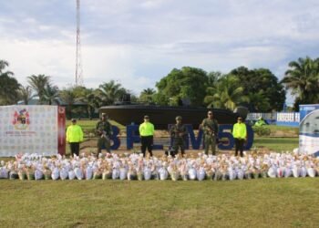 Golpe de la Armada, Ejército y Policía a organizaciones criminales en Vichada