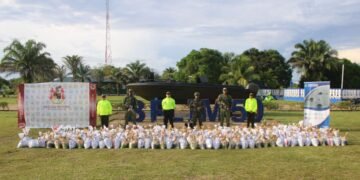 Golpe de la Armada, Ejército y Policía a organizaciones criminales en Vichada