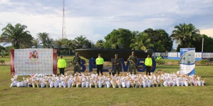 Golpe de la Armada, Ejército y Policía a organizaciones criminales en Vichada