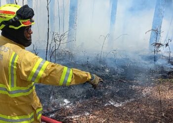 Incendios forestales en Bogotá