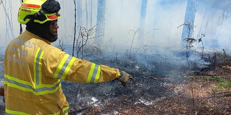 Incendios forestales en Bogotá