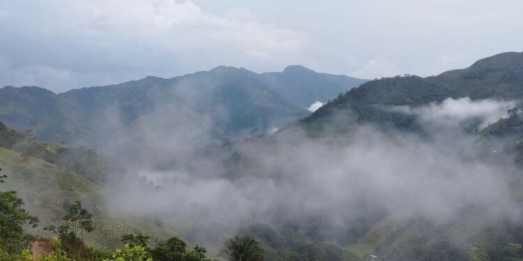 En la región del Catatumbo, en el oriente de Colombia, hay una escalada de violencia por los enfrentamientos entre el ELN y las disidencias de las Farc.