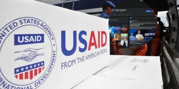 USAID ayudas