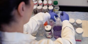 Cirujanos chinos implantan un hígado de cerdo en un humano por primera vez