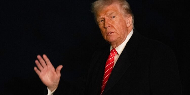 Nadie se salva en la cacería de migrantes emprendida por Trump en EE. UU.