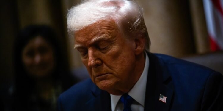 Amnistía cuestiona a Trump por envío de venezolanos a cárcel de El Salvador y alerta sobre “prácticas autoritarias”