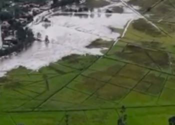 Cuatro muertos deja una avalancha en Pasto: podría haber más víctimas entre el lodo