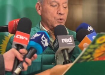 Los verdes tramitan “el divorcio”, pero no se ponen de acuerdo