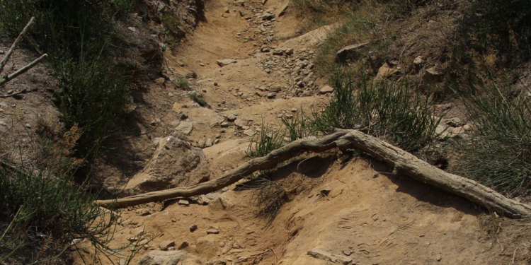 Hallaron dos cuerpos incinerados en Valle: temen que sean de padre e hija secuestrados
