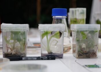 Aprueban resolución presentada por Colombia para estudiar nuevos retos en la lucha antidrogas