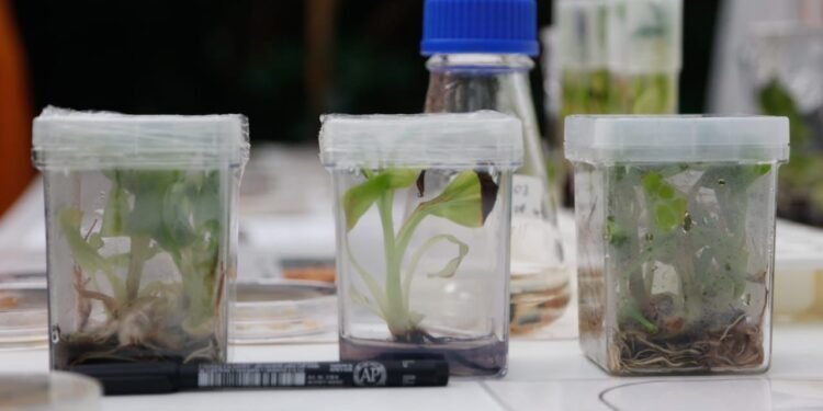 Aprueban resolución presentada por Colombia para estudiar nuevos retos en la lucha antidrogas