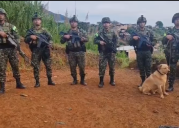 Militares