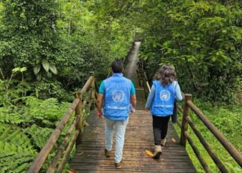 ONU alerta sobre incremento de reclutamiento de menores en Colombia