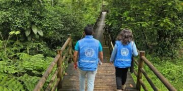 ONU alerta sobre incremento de reclutamiento de menores en Colombia