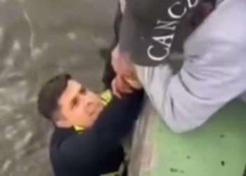 Video: policía héroe rescata a mujer que cayó al río Juan Amarillo, en Bogotá