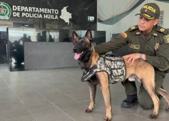 Tuerca, de guardián de la guerrilla a integrante de la policía