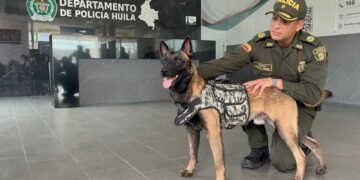 Tuerca, de guardián de la guerrilla a integrante de la policía