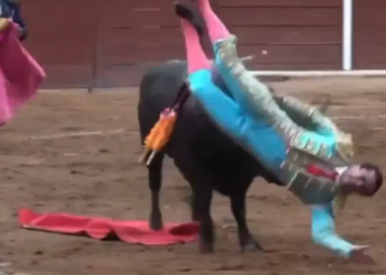 Torero herido méxico
