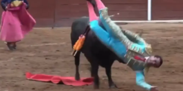 Torero herido méxico