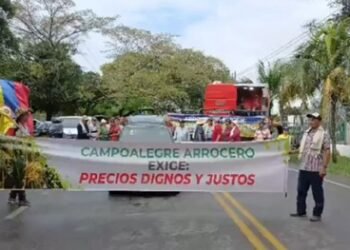 Arroceros