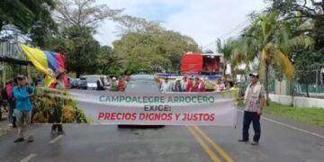 Arroceros