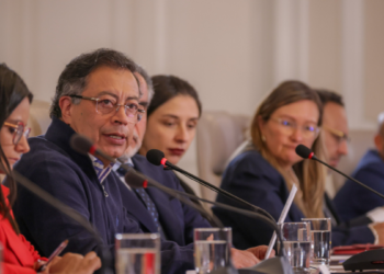 Polémica por posible regreso de la fumigación con glifosato