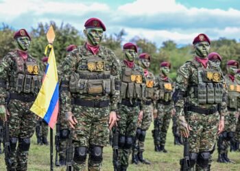 Gobierno activa fuerzas especiales para reforzar la seguridad en el país