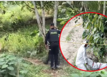 Horror en Lebrija, Santander: mujer asesinada presentaba varias mordeduras