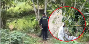 Horror en Lebrija, Santander: mujer asesinada presentaba varias mordeduras