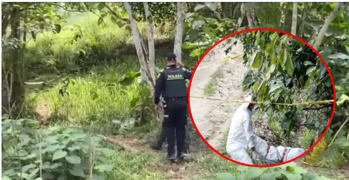 Horror en Lebrija, Santander: mujer asesinada presentaba varias mordeduras