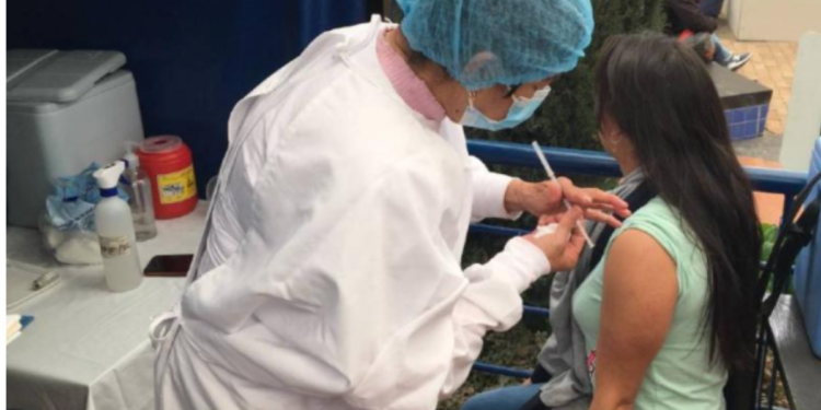 Fiebre amarilla: carné será obligatorio para entrar a municipios del Tolima tras 33 muertes