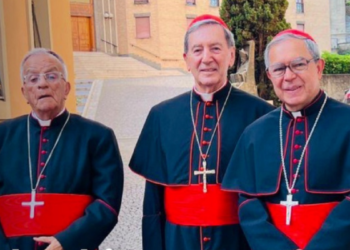 Los tres cardenales colombianos acompañan exequias del papa Francisco: solo uno votará en el cónclave