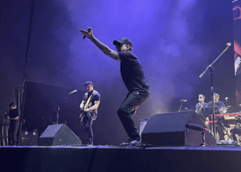 Calamaro