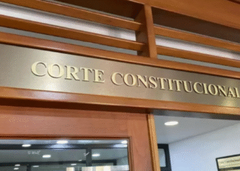 Corte constitucional
