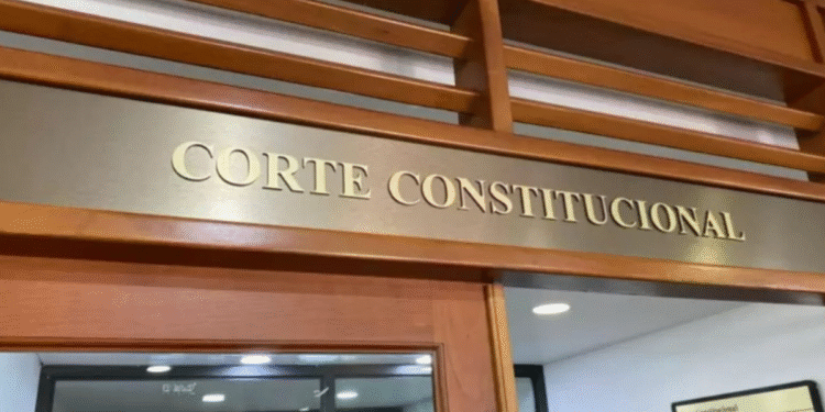 Corte constitucional