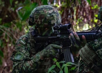 Purga en la Fuerza Pública: 24 capturas por corrupción