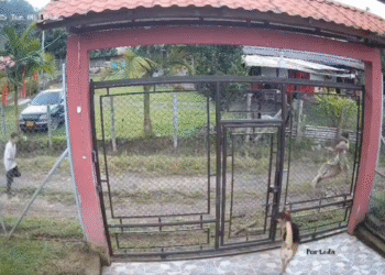 Video: niña de 13 años escapó de la casa donde pastor la abusaba, en Caldas
