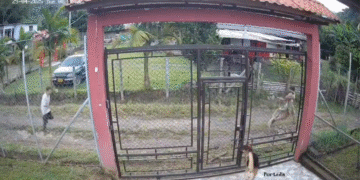 Video: niña de 13 años escapó de la casa donde pastor la abusaba, en Caldas