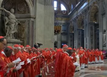 Reviva aquí la misa de los cardenales antes del inicio del cónclave: oraron a Dios para elegir un buen papa