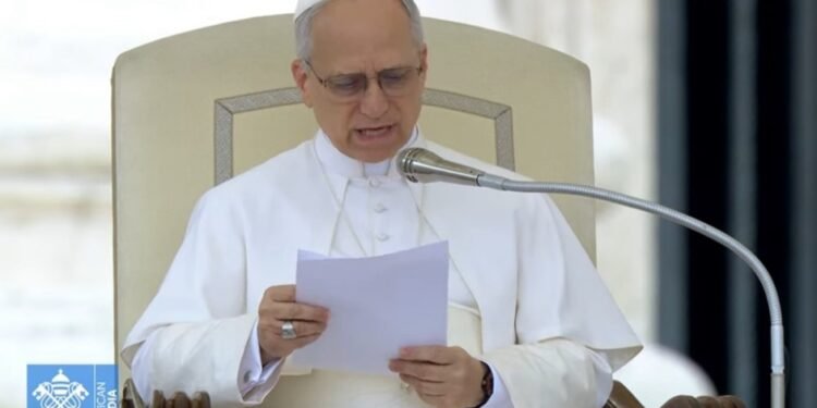 Papa León XIV: “La situación en Gaza es cada vez más preocupante y dolorosa”