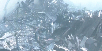 Sobrevivió un pasajero tras catastrófico accidente en India: salió caminando del avión