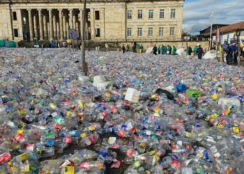 Un tapete de botellas de plástico cubre la Plaza de Bolívar por protesta de recicladores