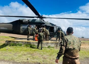 Ejército y disidencias
