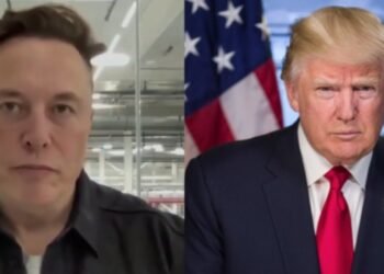 Donald Trump y Elon Musk, del amor al odio: “Estoy muy decepcionado”
