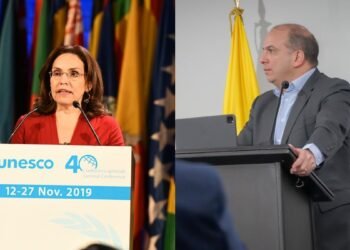Corte Constitucional