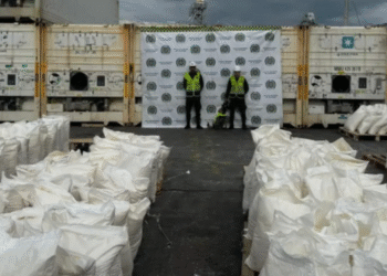 Banda criminal mezcló cocaína con harina, rumbo a Bélgica, pero los descubrieron