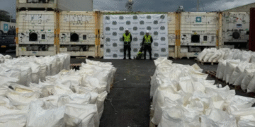 Banda criminal mezcló cocaína con harina, rumbo a Bélgica, pero los descubrieron