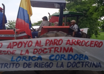 Empresarios entregan propuestas para solucionar paro arrocero y alertan sobre posible incremento de precios