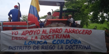 Empresarios entregan propuestas para solucionar paro arrocero y alertan sobre posible incremento de precios