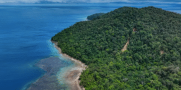 Sigue el monitoreo de las autoridades en zonas del Pacífico por el tsunami en Rusia